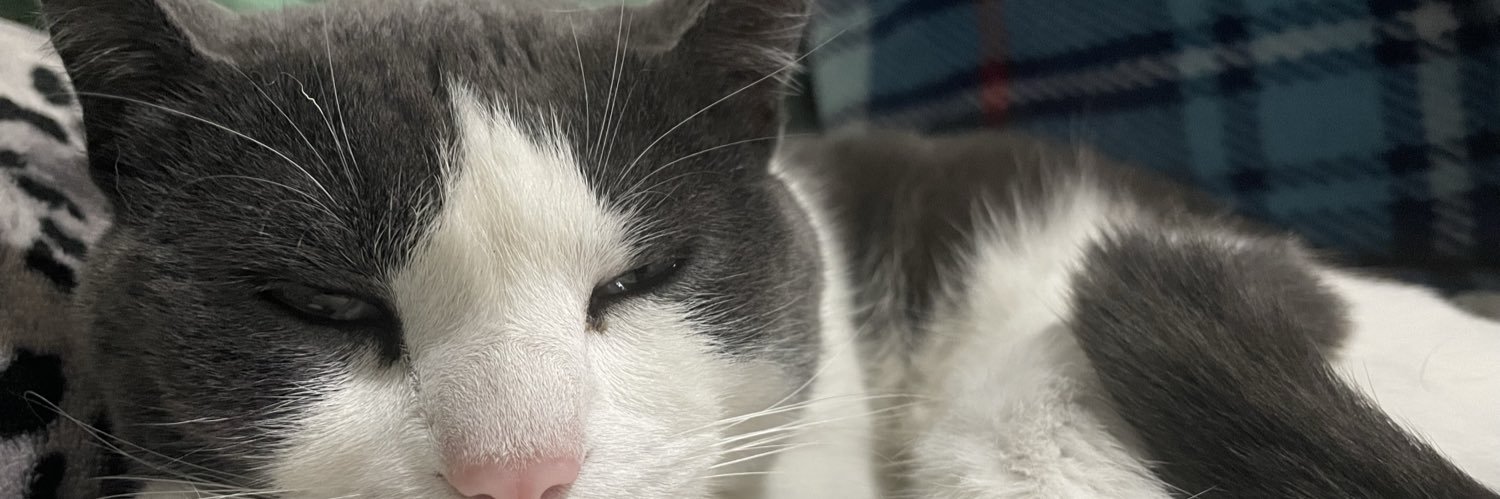 punkbed's profile banner image