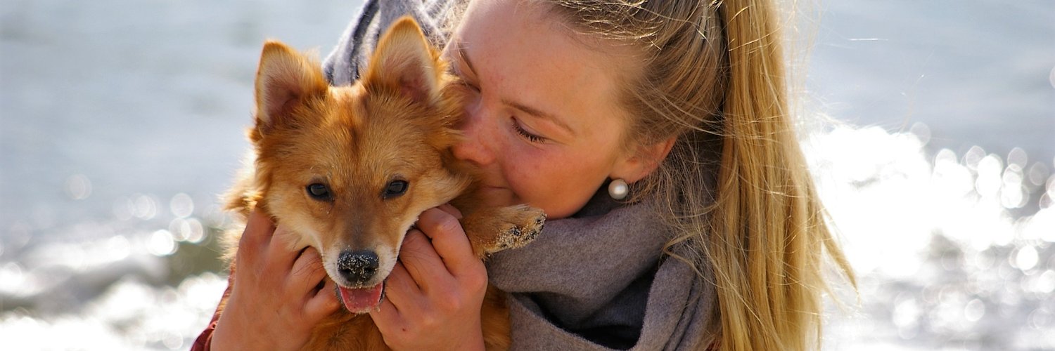 petsonline's profile banner image