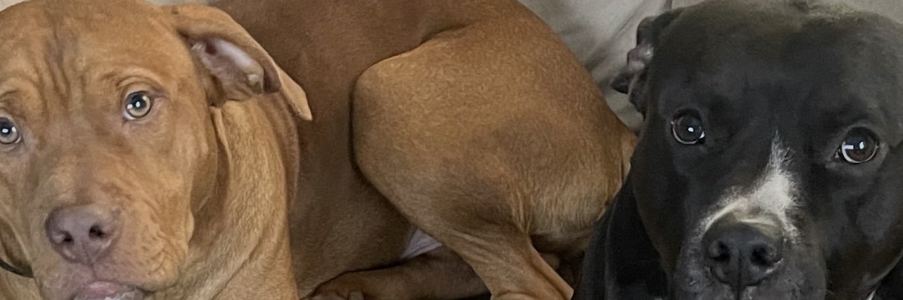 EmBeezz's profile banner image
