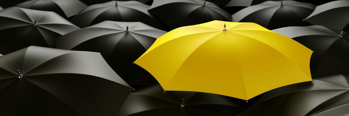 tareau's profile banner image