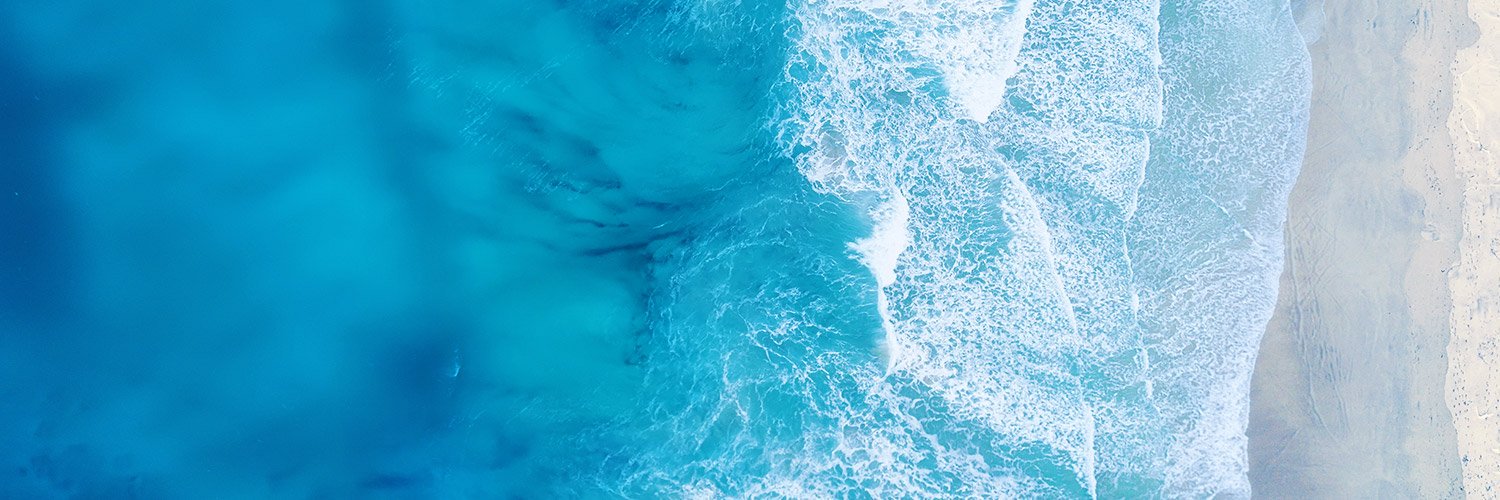 Coconut Software banner