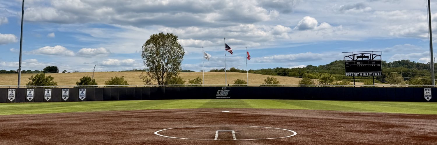 Caitlin Gambone banner