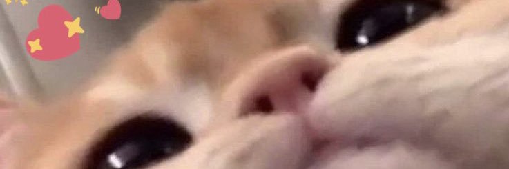 kriscomplains's profile banner image