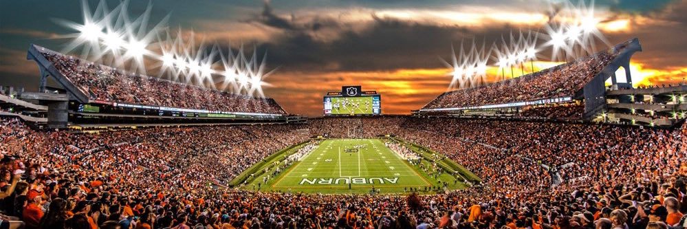 Kelly Lowder 🦚 banner