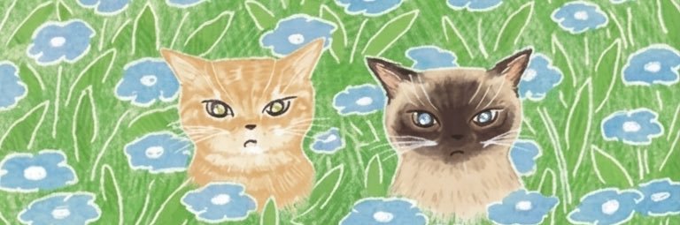 nancyguzl's profile banner image