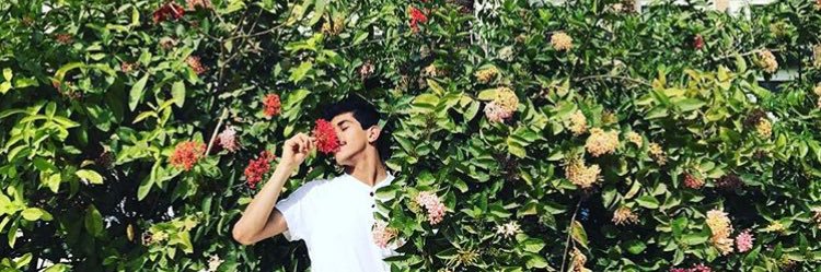 RahafAlhodaif's profile banner image