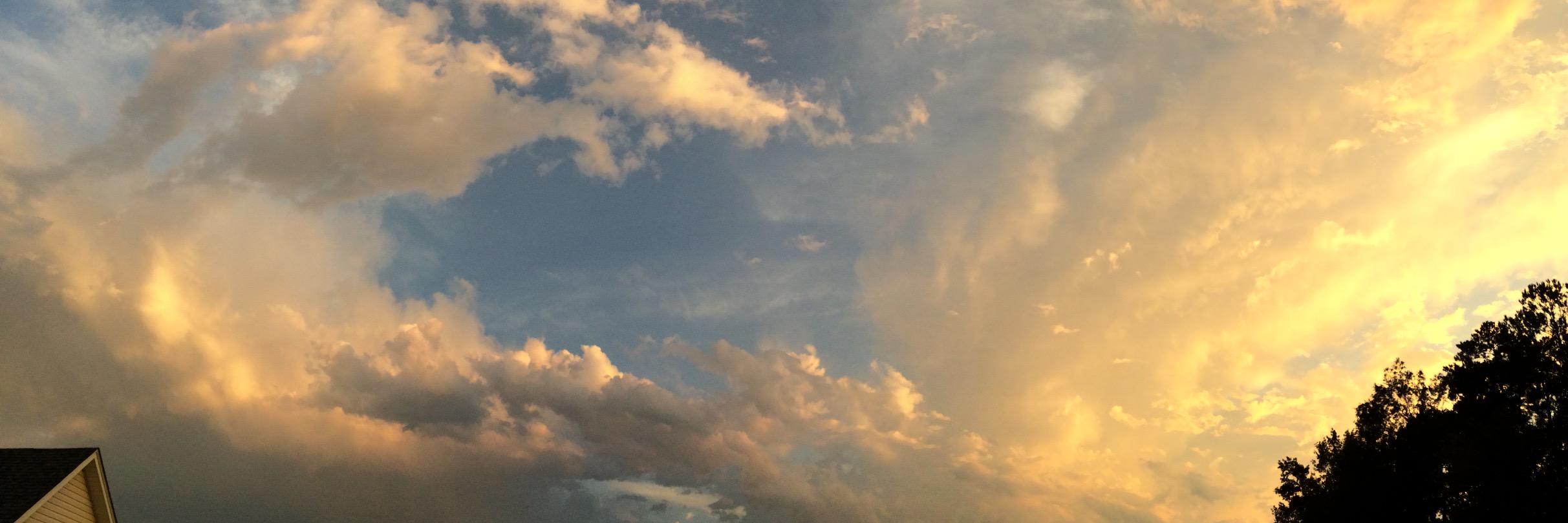 Foraslongas's profile banner image