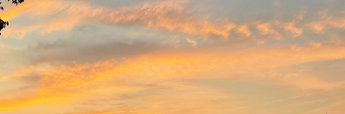 erayksz's profile banner image