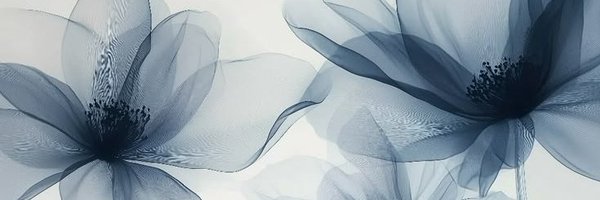 KrystalAnn3's profile banner image