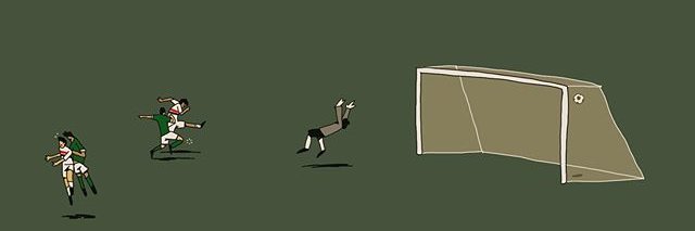 Rogério Barolo banner