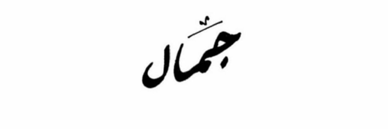 salsabeel96's profile banner image