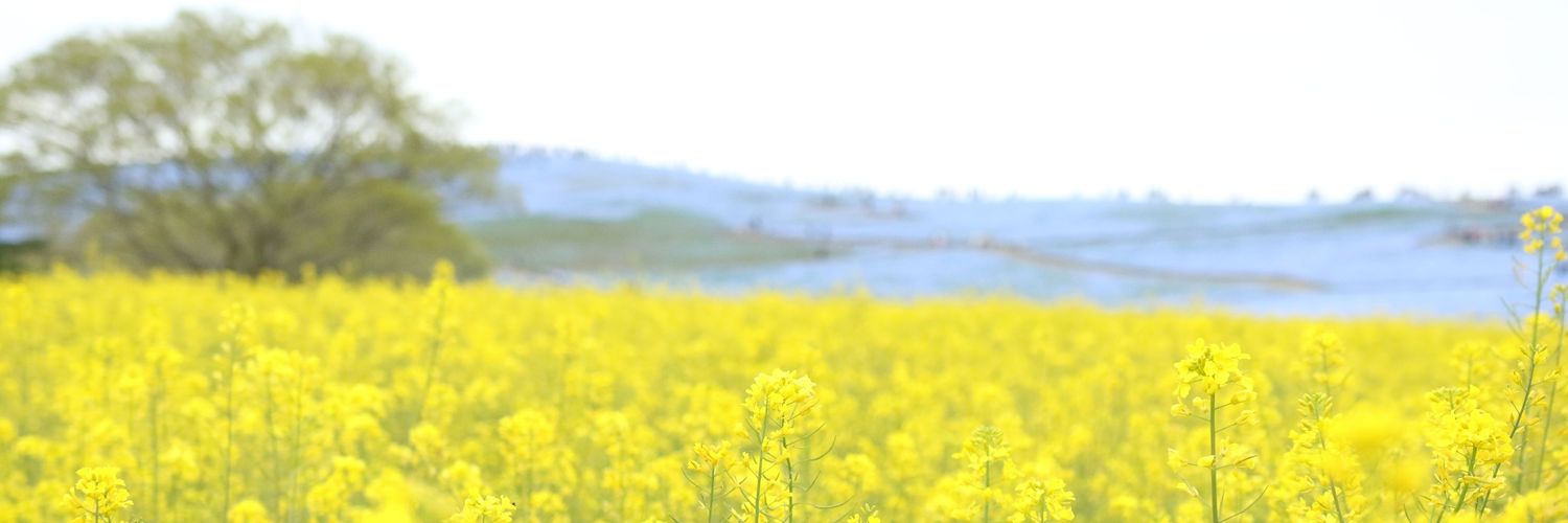 tattsun19951's profile banner image