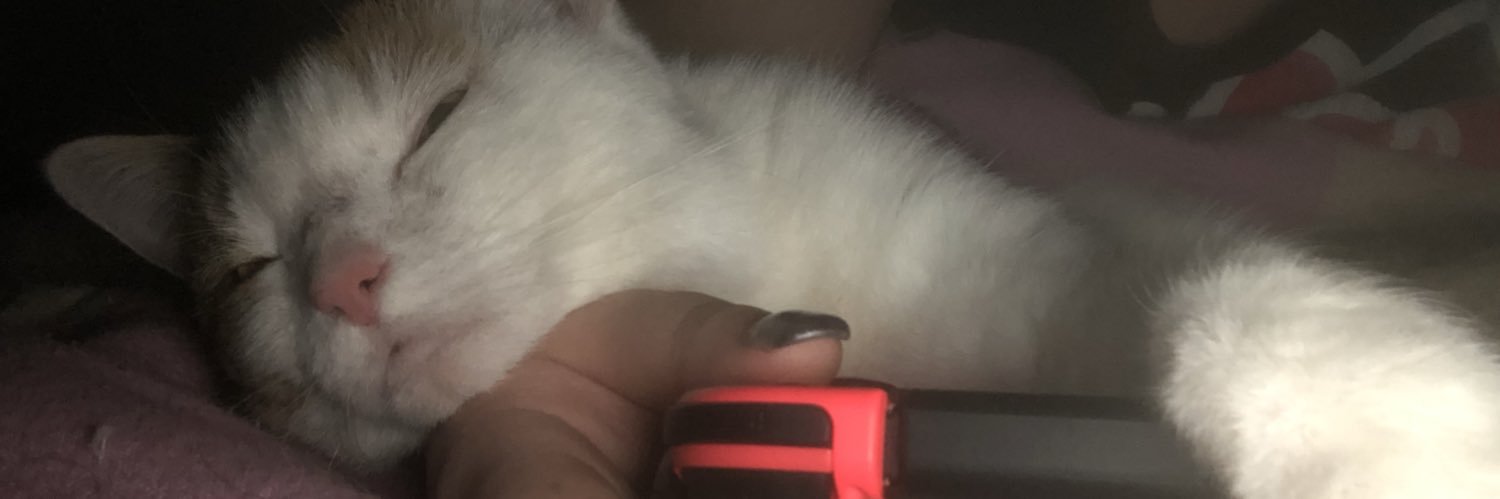 AnnikaCos's profile banner image