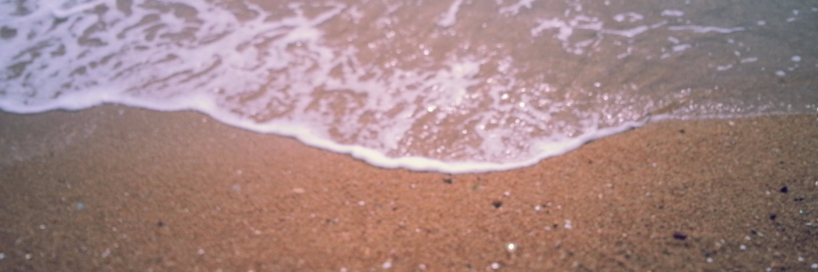 3104_bread's profile banner image