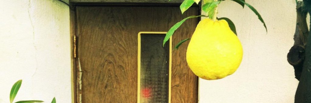 concombre banner