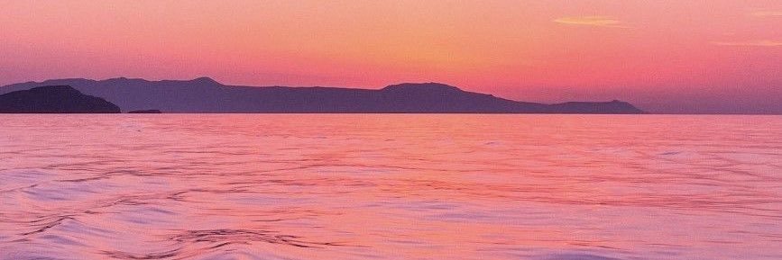 Fran 🎀 banner