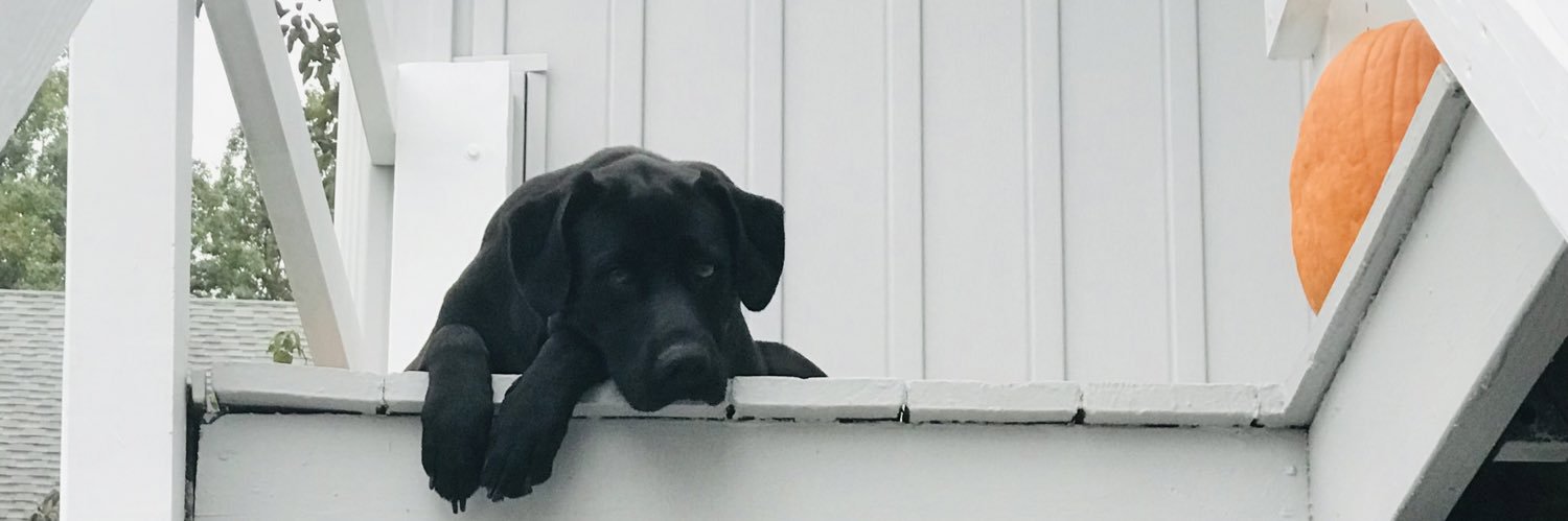 D9Stevenson's profile banner image