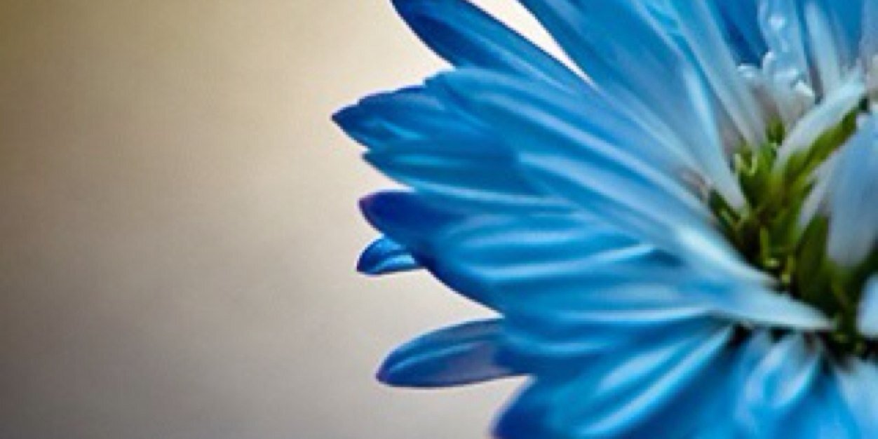 xlive_snm's profile banner image