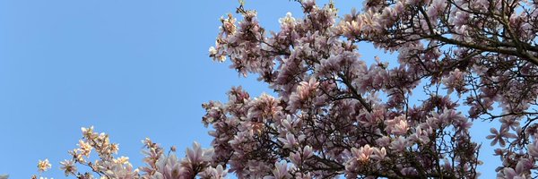 DelanyLeitch Profile Banner