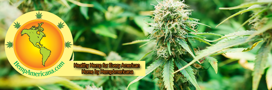 HempAmericana's profile banner image