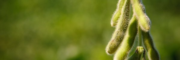 MSSOY Profile Banner