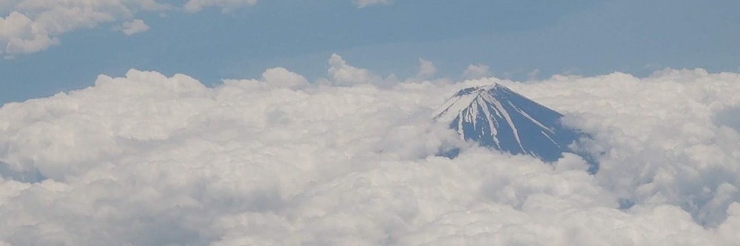 ankoro_desu's profile banner image