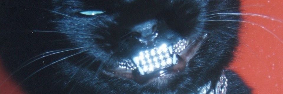 ninfetinhacybertoxic97 ☣️ banner