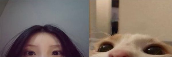 pendussta Profile Banner