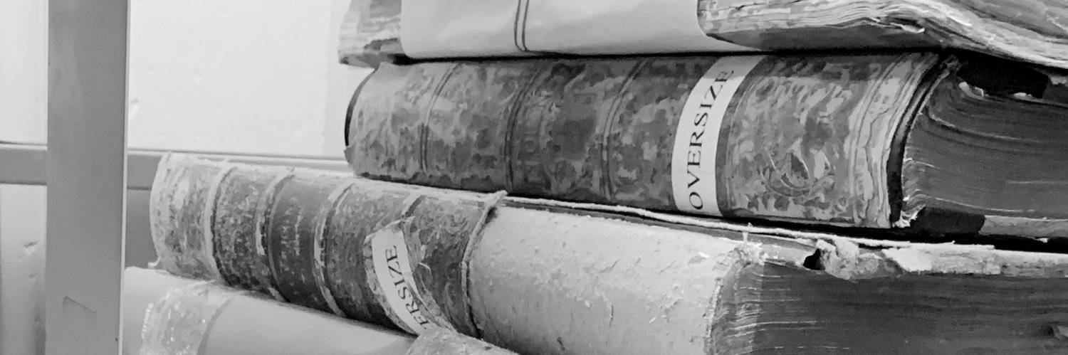 Cassandra D’Amore banner