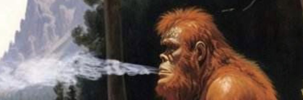 SamRetishHolt's profile banner image