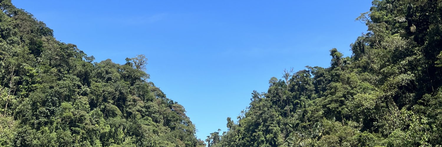 sofichinchillad's profile banner image