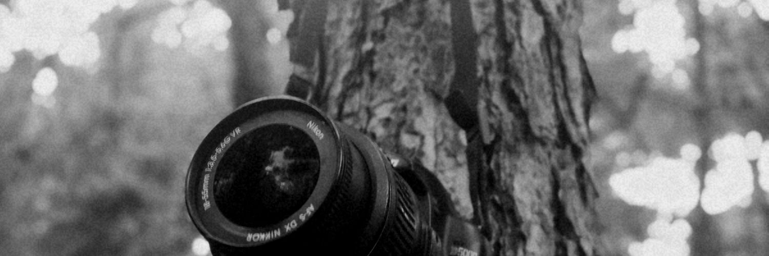 Ralph_Daher's profile banner image