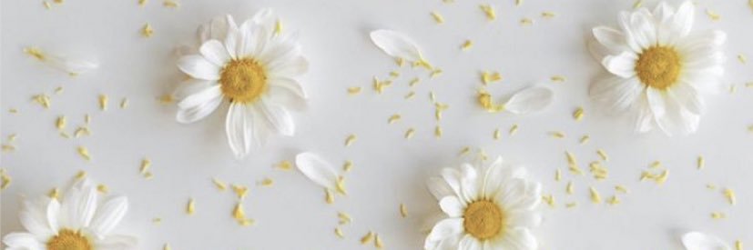 _tiiee's profile banner image