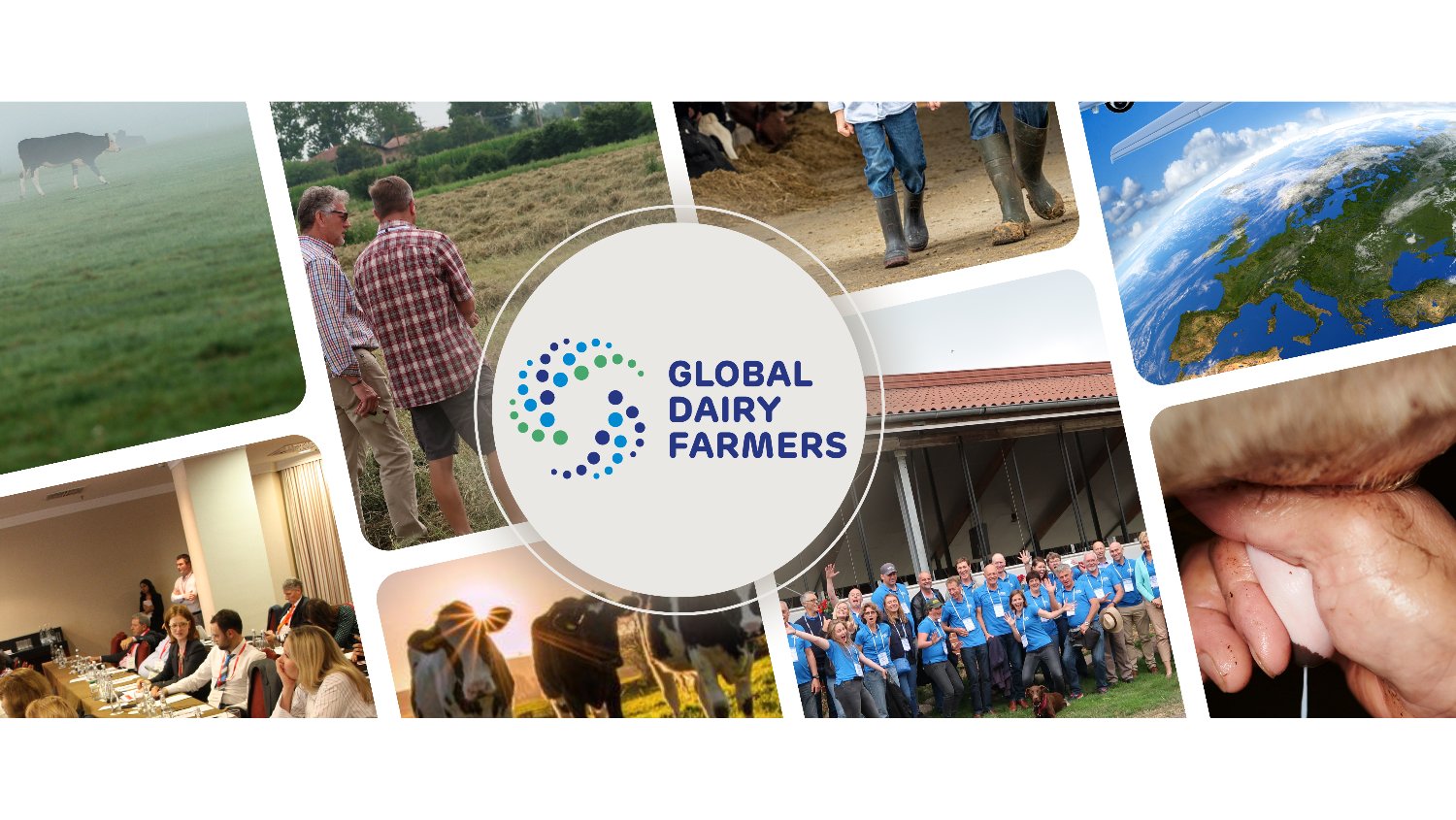 Global Dairy Farmers banner