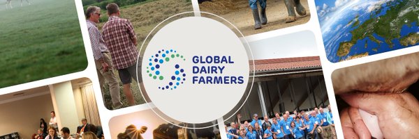 GDFnetwork Profile Banner