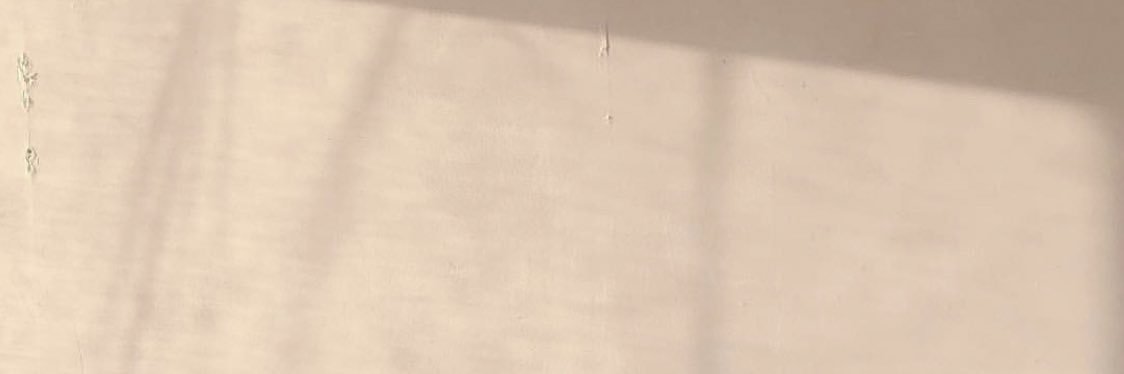 coI2__c5's profile banner image