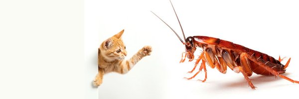 Cheikon Profile Banner