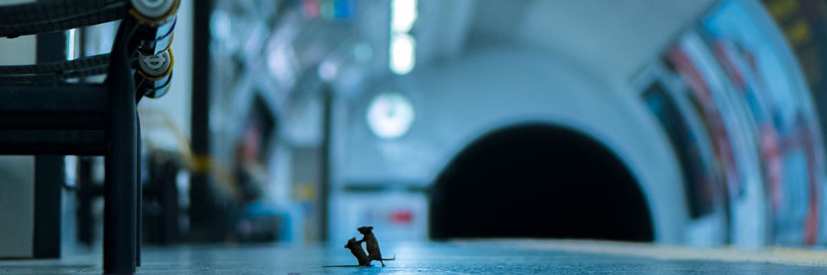 HeySFreezy's profile banner image
