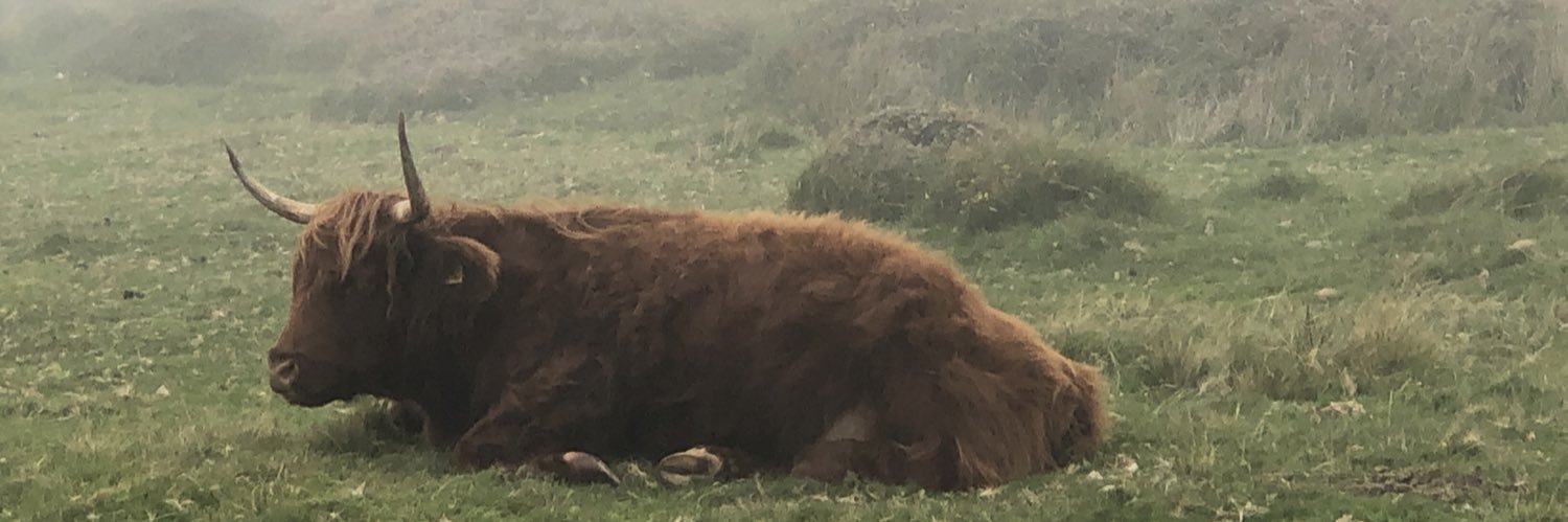 EmmaPennery's profile banner image