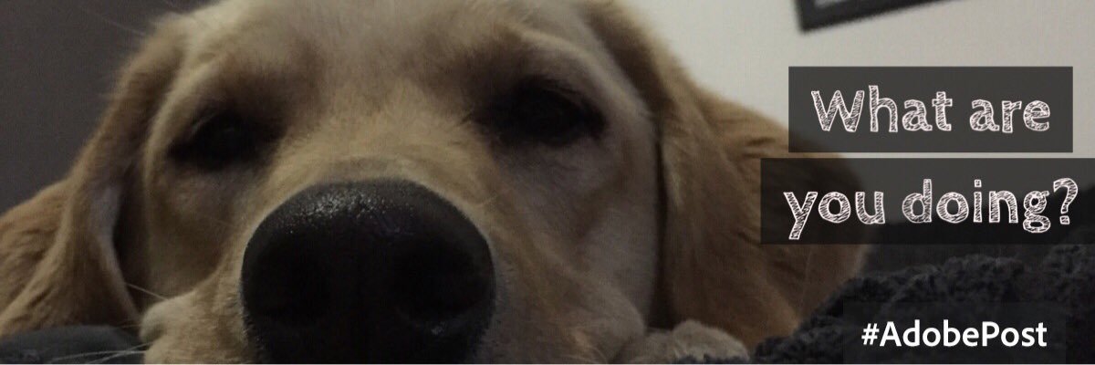 janemc26's profile banner image