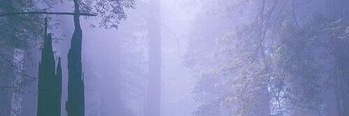 IR20_'s profile banner image
