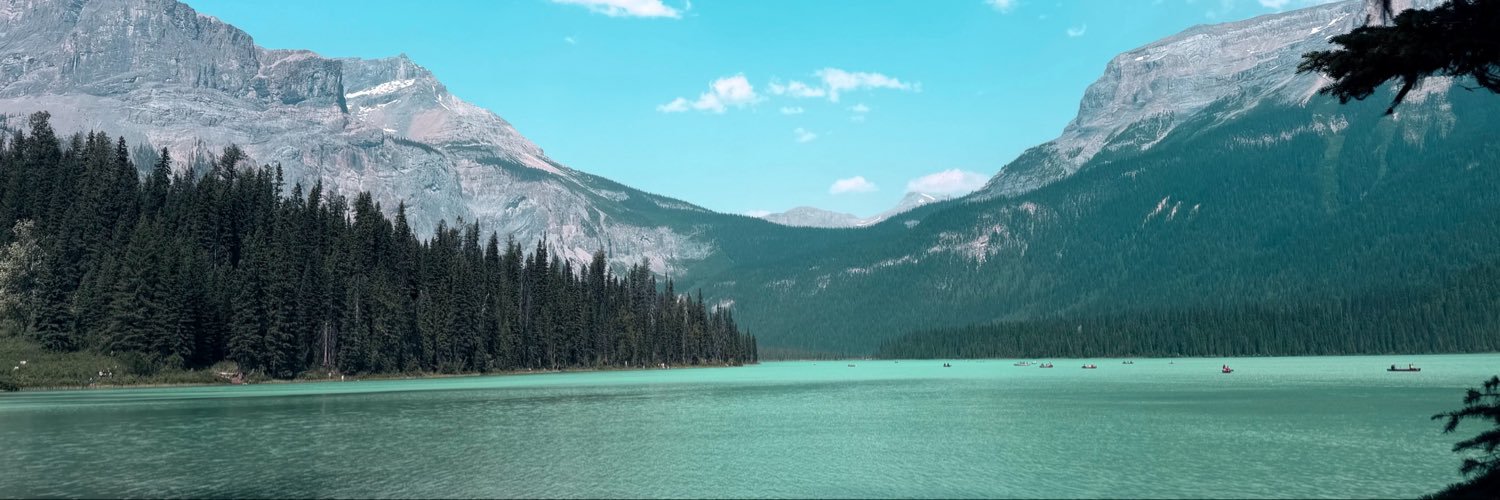 LiptonTeaLoL's profile banner image