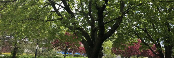 FNAladin Profile Banner