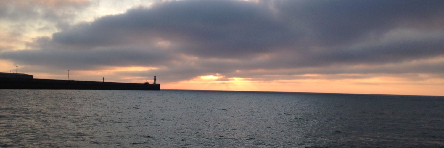 Lisa_J_Williams's profile banner image