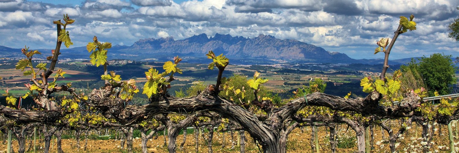 Wine Spectator banner