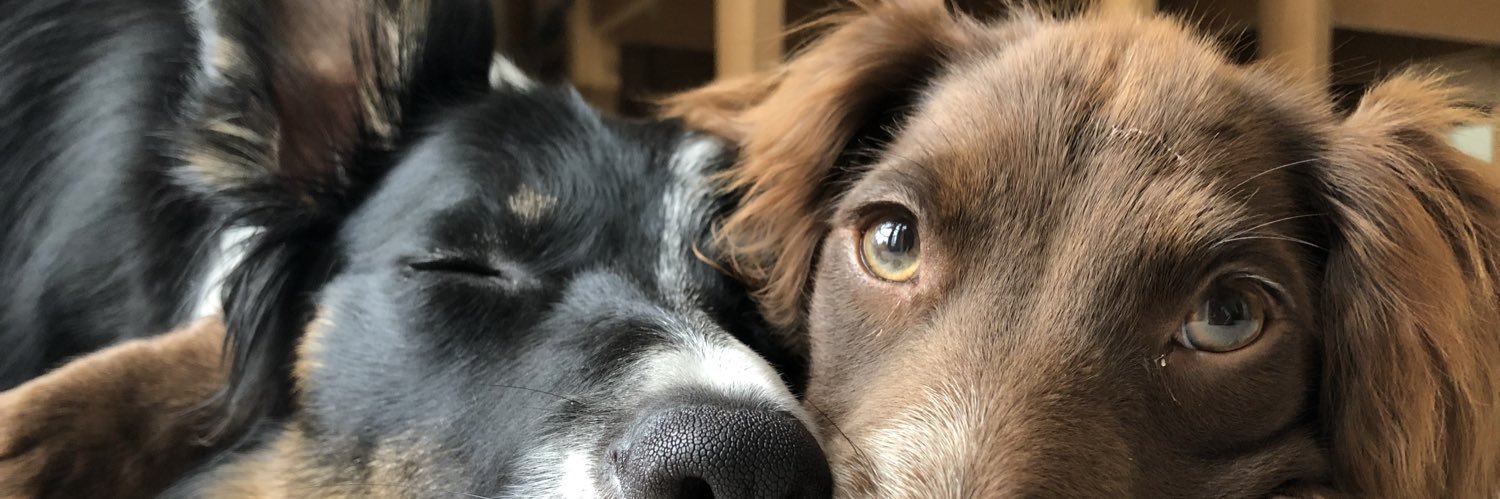 Abbie_White1's profile banner image