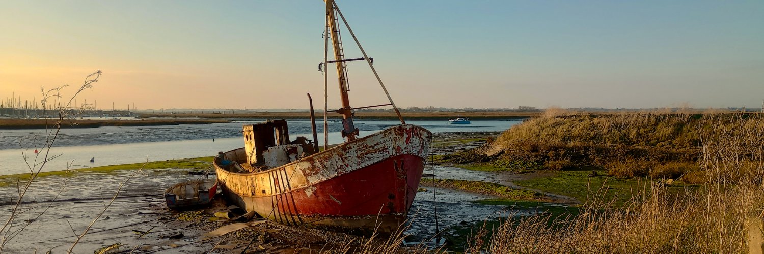 Phoebe Taplin banner