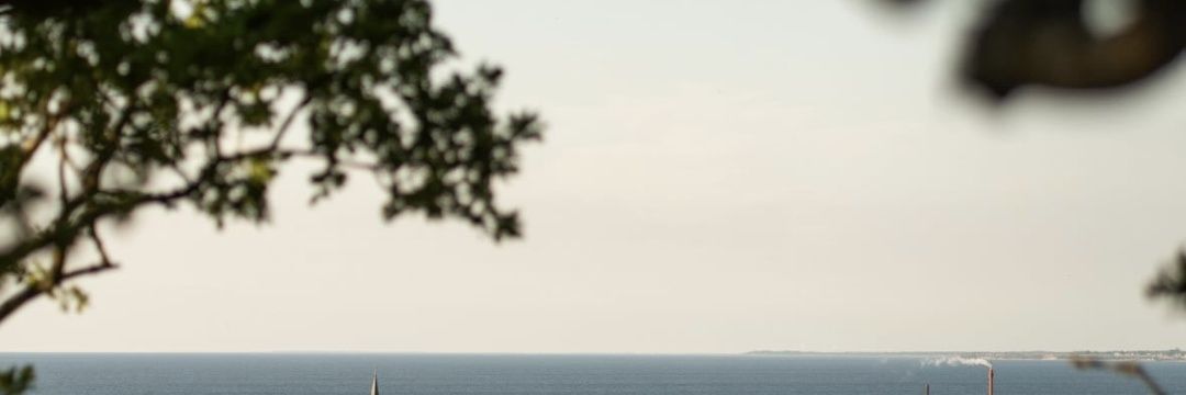 mardeVilday's profile banner image