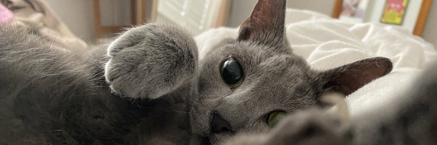 ElizabethSills's profile banner image