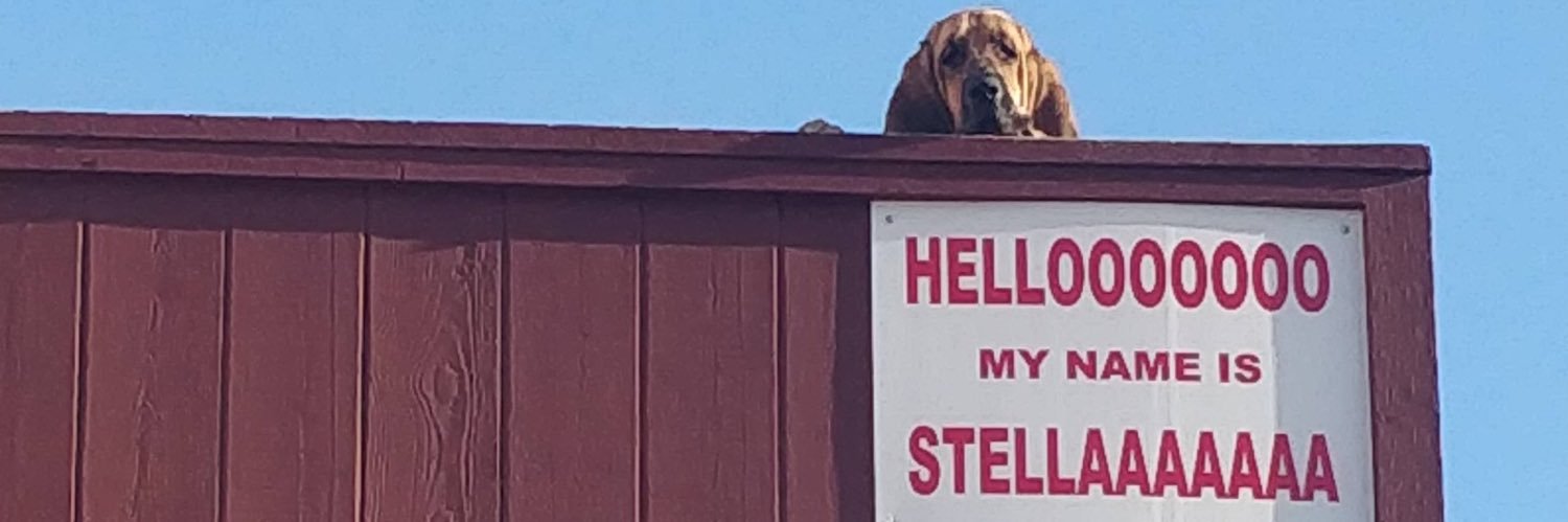 itstellar's profile banner image